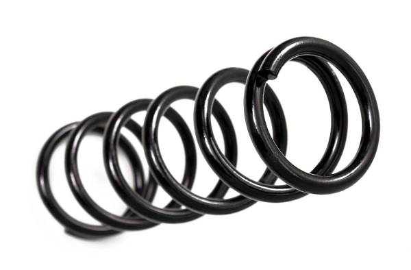 BDS Suspension - BDS Suspension Jeep Wrangler TJ Coil Springs (Pair) 034308