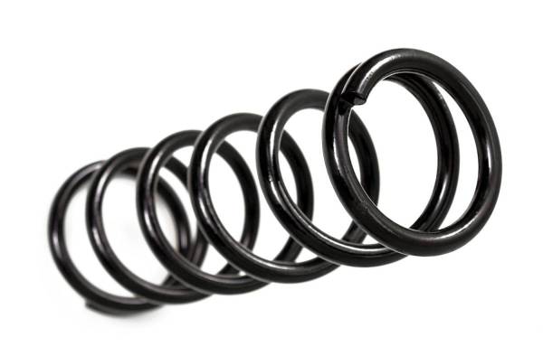 BDS Suspension - BDS Suspension 6.5" Front Coil Springs (Pair) - Jeep Cherokee XJ 034652
