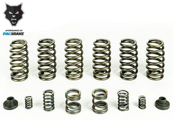 Pacbrake - HP10246 Spring Kit (6 HD Valve Springs) For 1994-1998 Ram 2500/3500 with P7100 Injection Pump