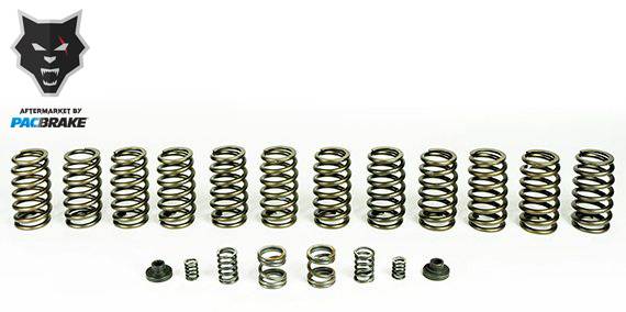 Pacbrake - HP10245 Spring Kit (12 Springs) for 1994-98 Dodge Ram 2500/3500 with P7100 Injection Pump