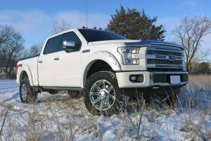 BDS Suspension - BDS 1507H 4" Suspension Lift Kit System for 2015-16 Ford F150 4WD - Image 2