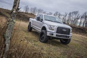 BDS Suspension - BDS 1506F  6" Coil Over Suspension Lift for 2015-16 Ford F150 4WD - Image 3