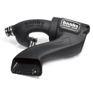 Banks Power - Ram-Air Intake System Dry Filter for 2015-2020 Ford F150 EcoBoost 2.7/3.5L Banks Power - Image 1